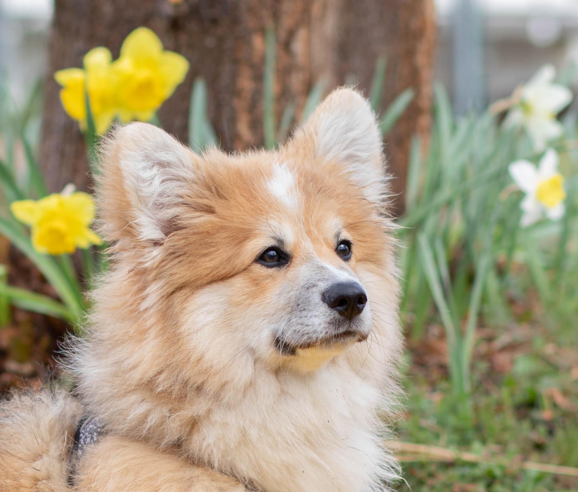 e02bfd85-446d-42da-9e25-cbf584d3cb29